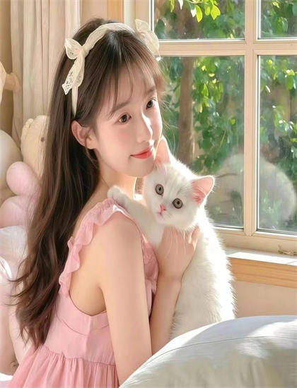 《哈罗俄亥俄》观看指南：如何把握情感线索与心理变化 提高审美能力